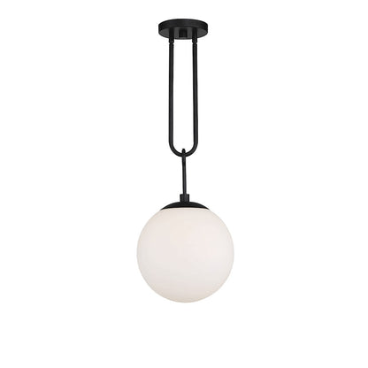 1 Light Pendant, Matte Black