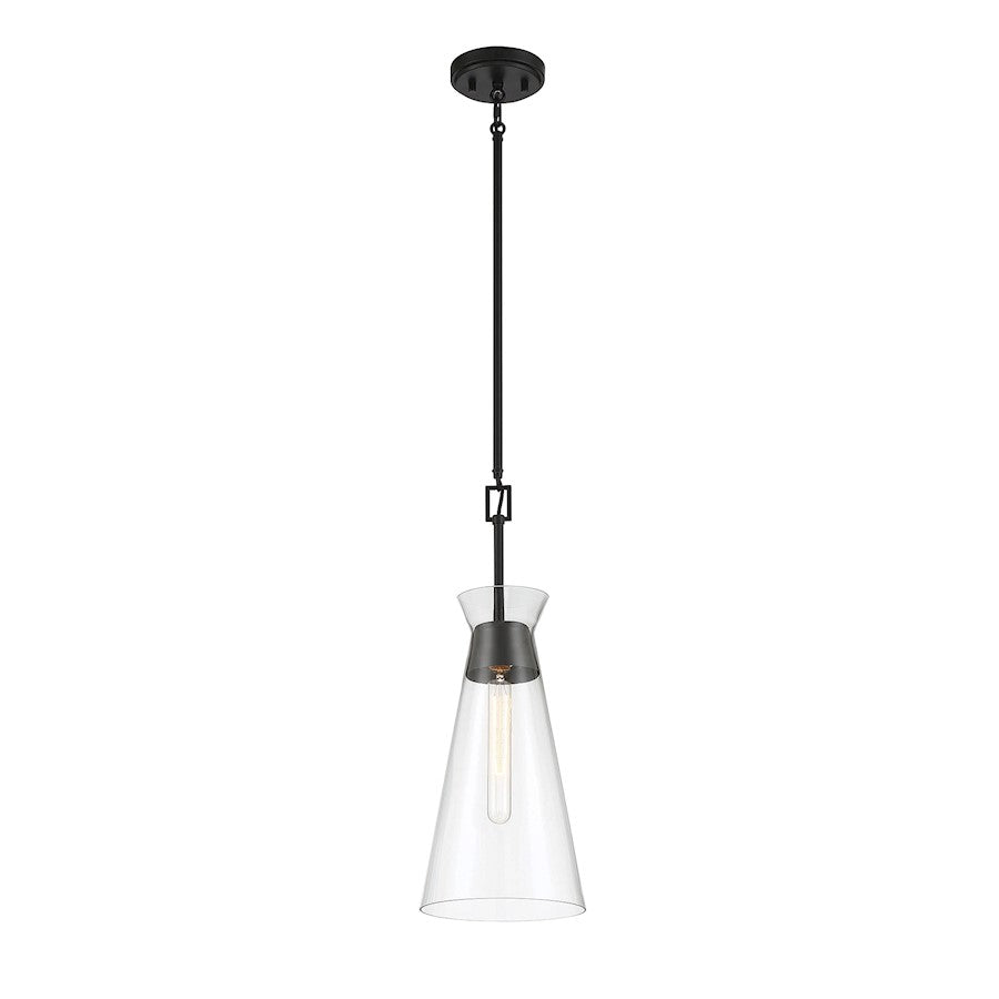 1 Light Pendant, Matte Black