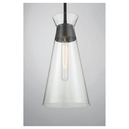 1 Light Pendant, Matte Black