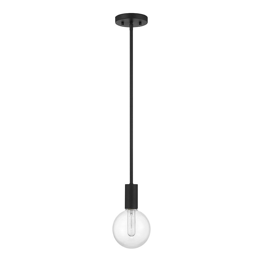 1 Light Mini Pendant, Matte Black