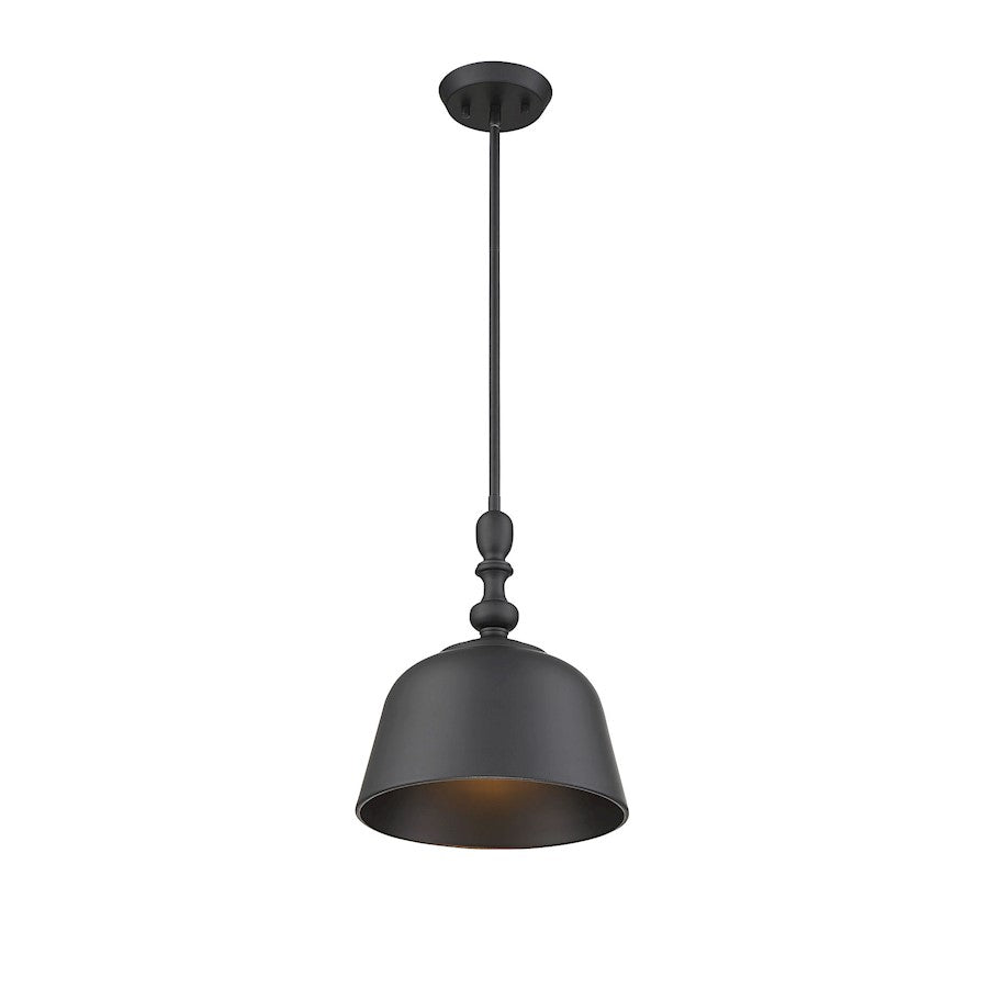 1 Light Pendant