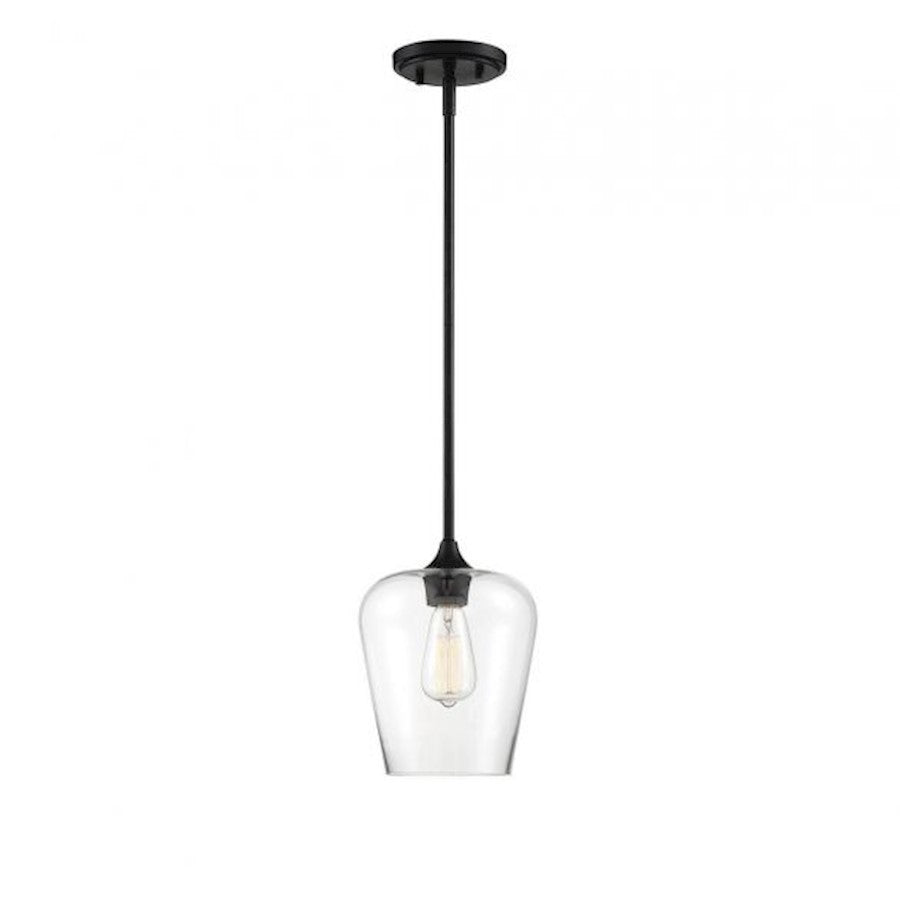 1 Light Mini Pendant, Black