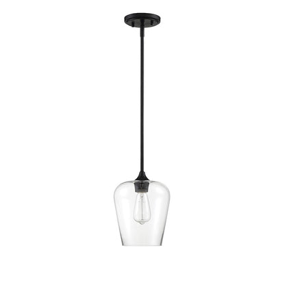 1 Light Mini Pendant, Black