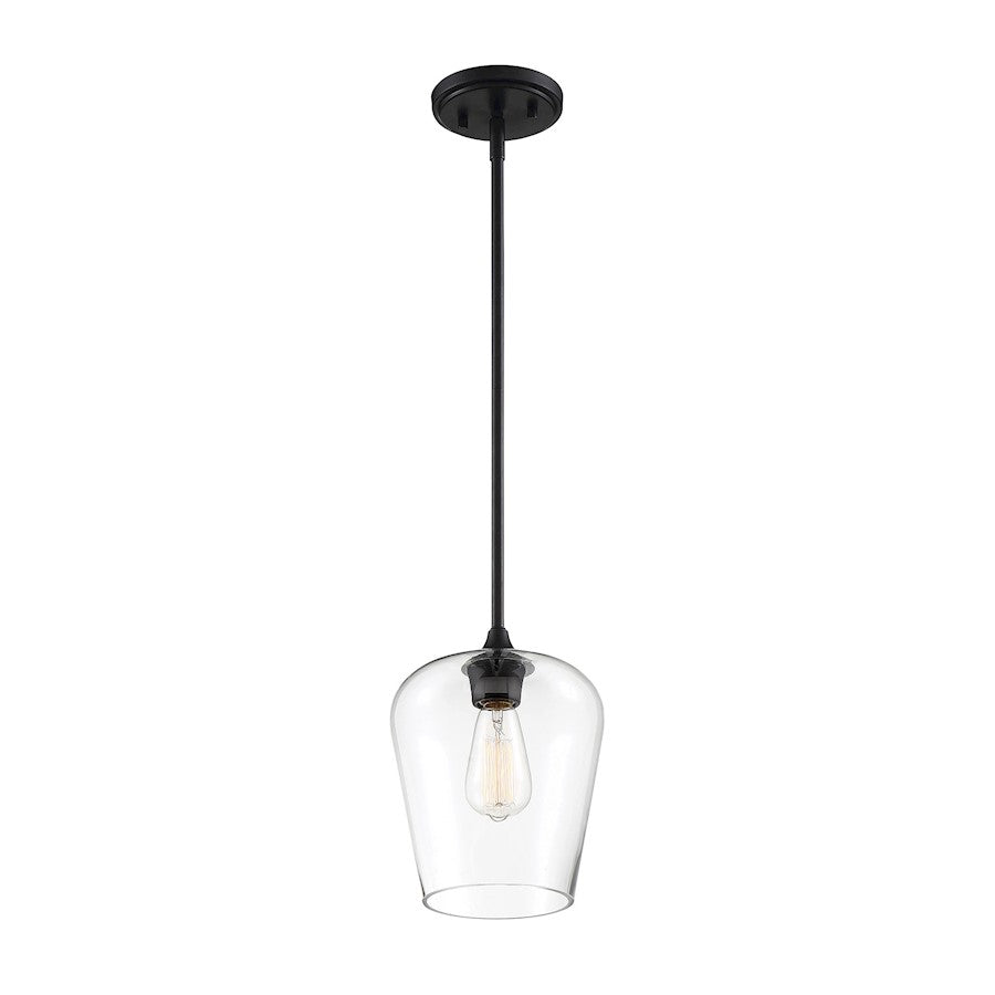 1 Light Mini Pendant, Black