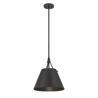 1 Light Pendant, Matte Black