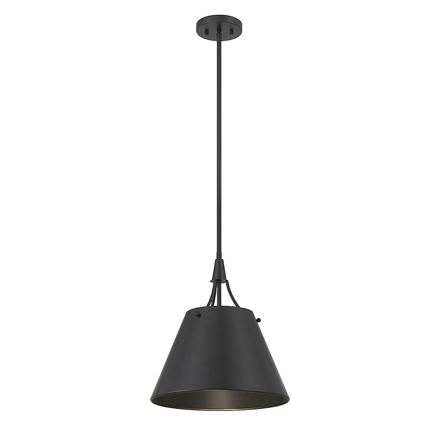 1 Light Pendant, Matte Black