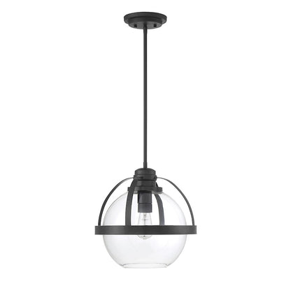 1 Light Pendant