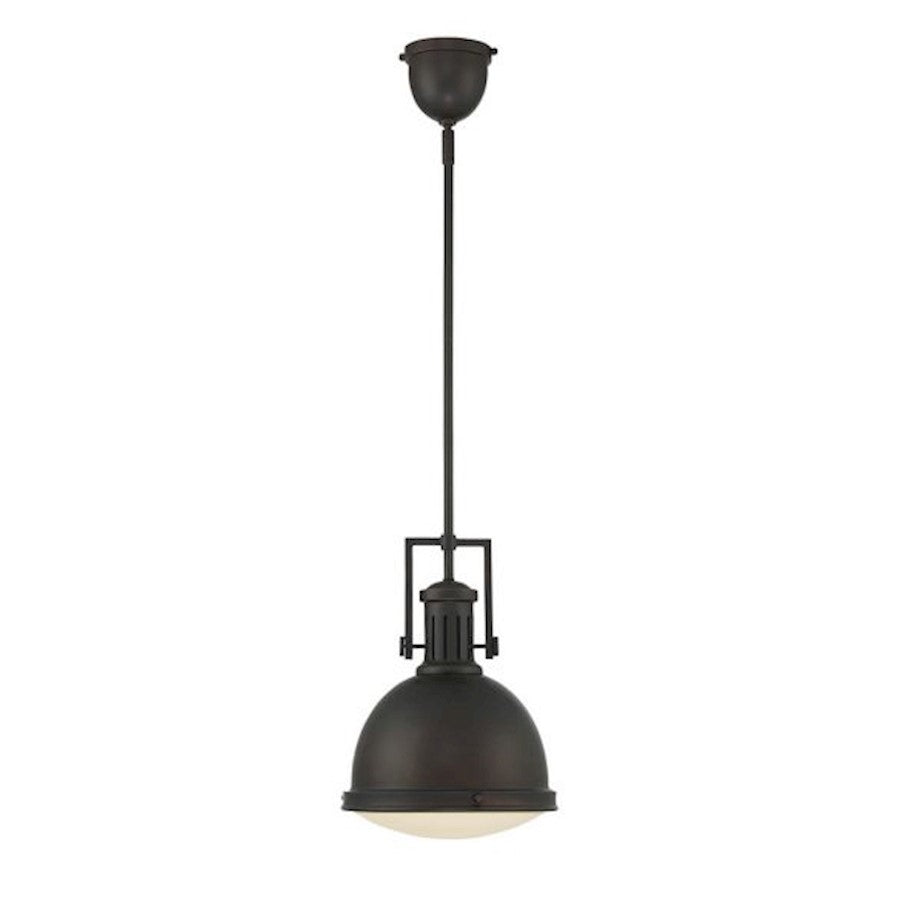 1 Light Pendant, Polished Nickel