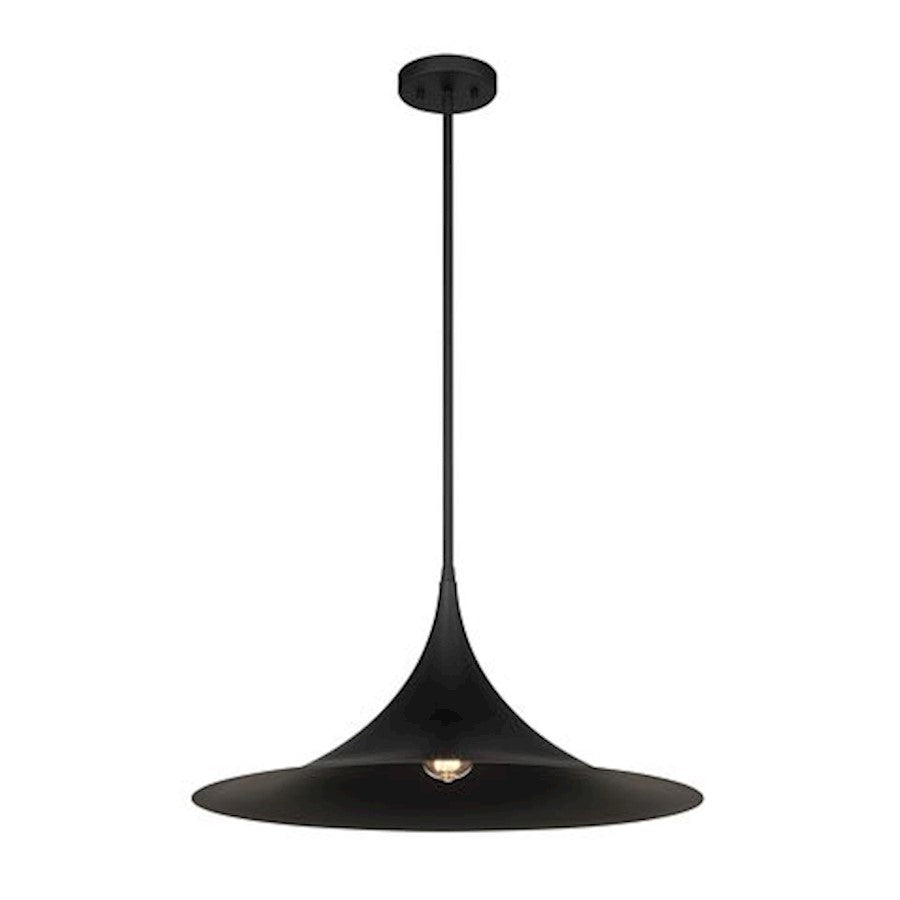 1 Light Pendant, Matte Black