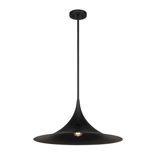 1 Light Pendant, Matte Black