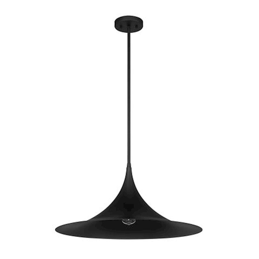 1 Light Pendant, Matte Black