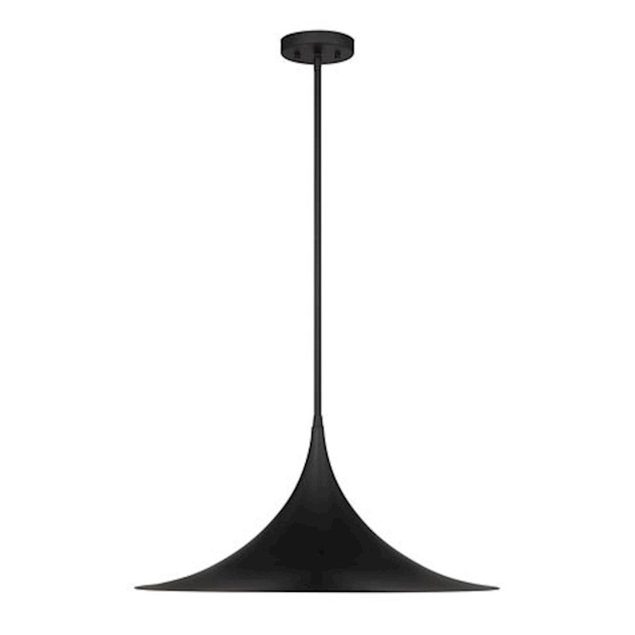 1 Light Pendant, Matte Black