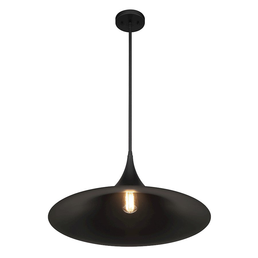 1 Light Pendant, Matte Black