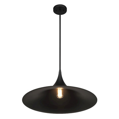 1 Light Pendant, Matte Black