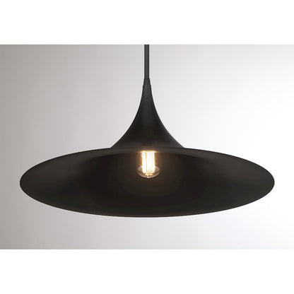1 Light Pendant, Matte Black