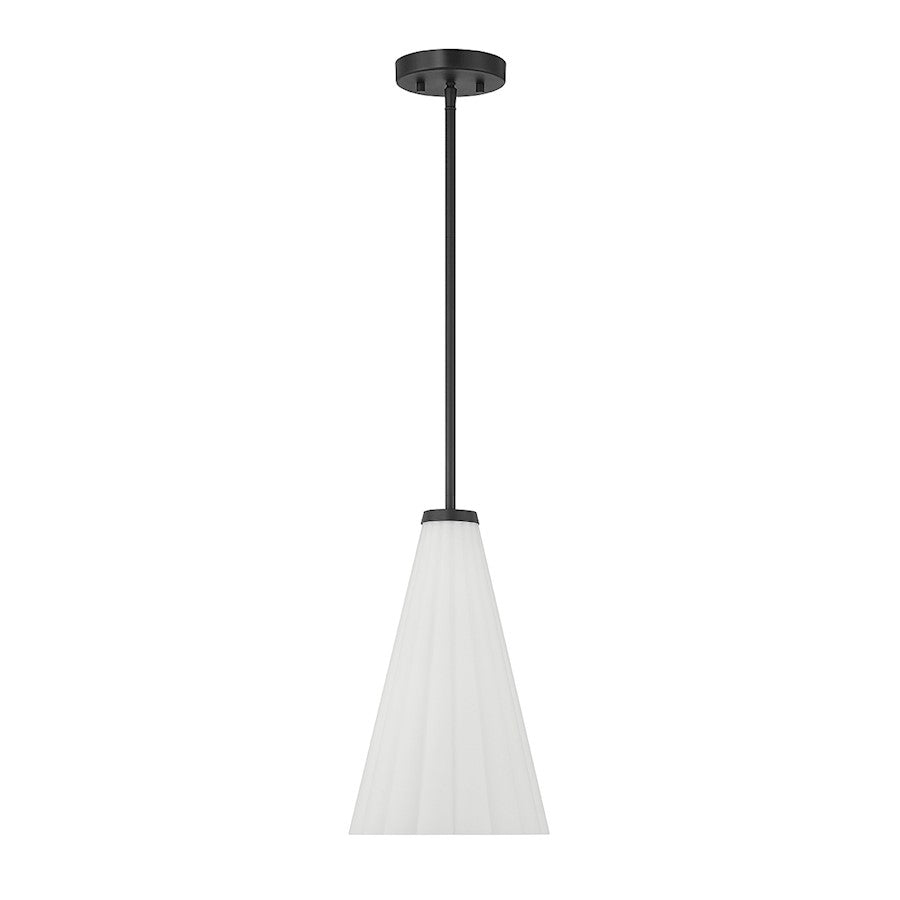 1 Light Pendant, Matte Black