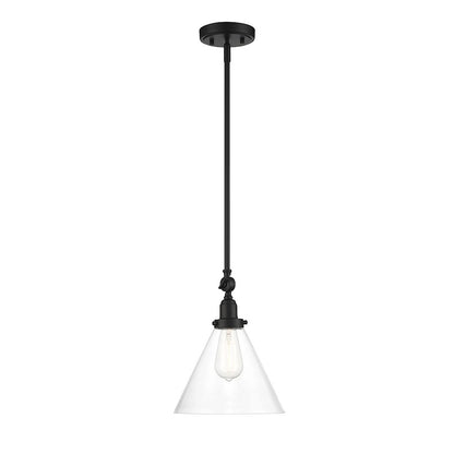 1 Light Pendant, Matte Black/Clear