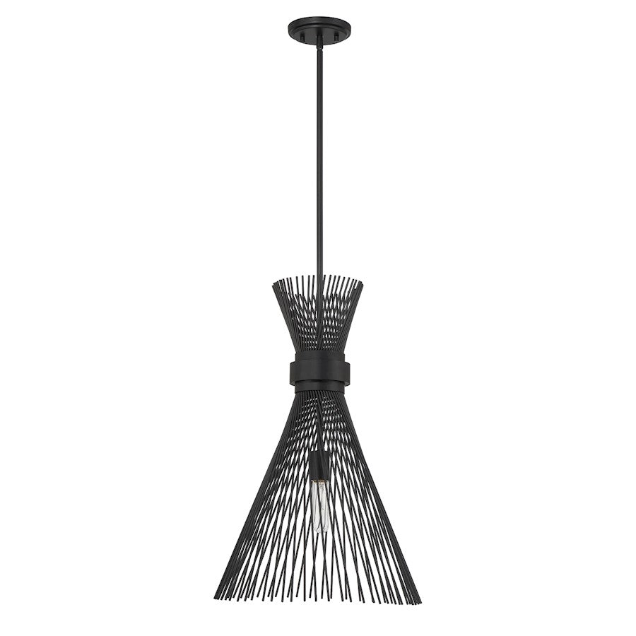 1 Light Pendant, Matte Black