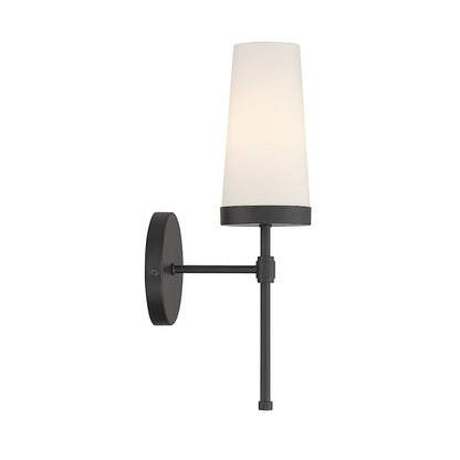 1 Light Wall Sconce