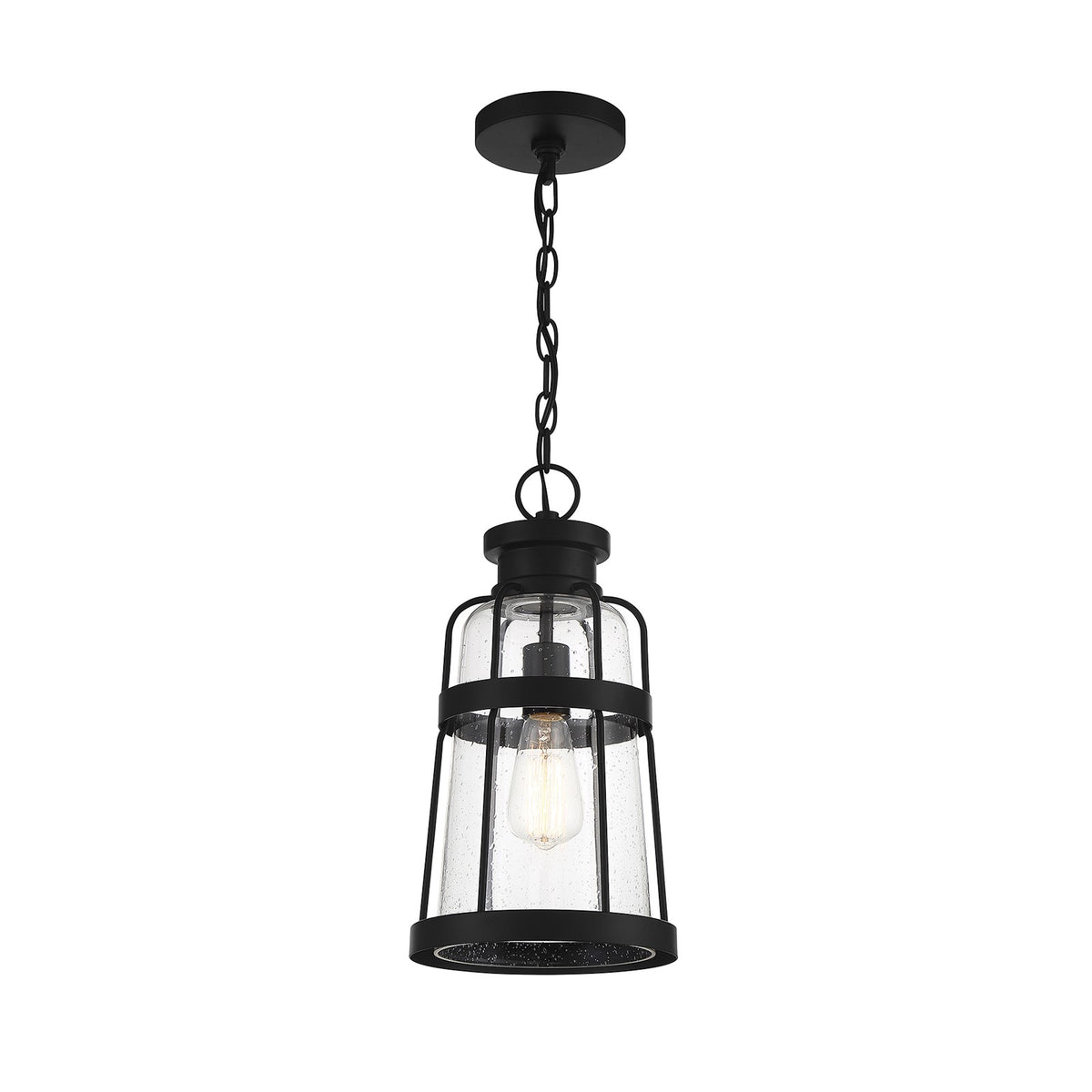 Savoy House Quinton 16.5in 1-Light Outdoor Hanging Lantern | Coastal Matte Black and Clear Seeded Glass | Covered Patio & Porch | Model L5-2943-BK