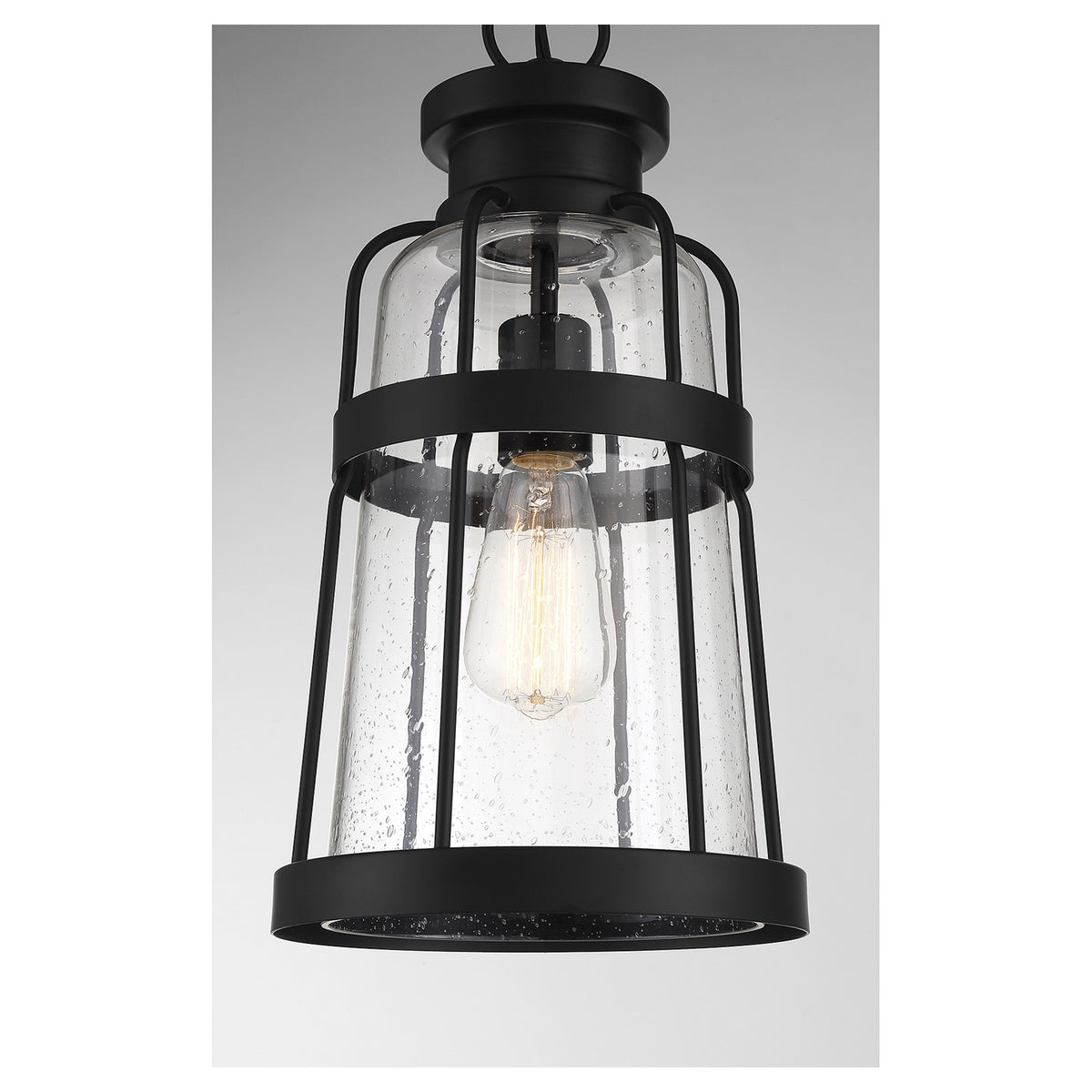 Savoy House Quinton 16.5in 1-Light Outdoor Hanging Lantern | Coastal Matte Black and Clear Seeded Glass | Covered Patio & Porch | Model L5-2943-BK