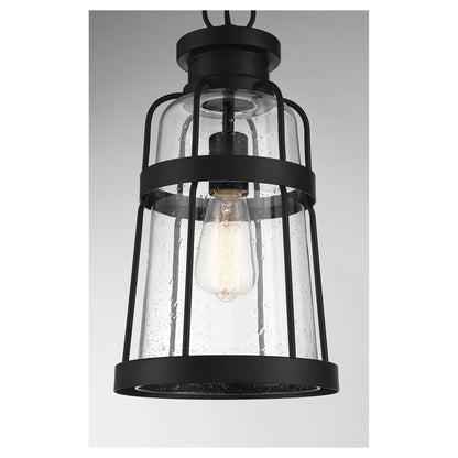 Savoy House Quinton 16.5in 1-Light Outdoor Hanging Lantern | Coastal Matte Black and Clear Seeded Glass | Covered Patio & Porch | Model L5-2943-BK