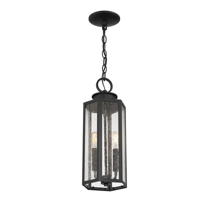 Savoy House Hawthorne 7in 2-Light Outdoor Hanging Lantern | Modern Black and Seedy Glass | Covered Patio & Porch | 7 x 7 x 17.25 in | Model L5-5103-BK