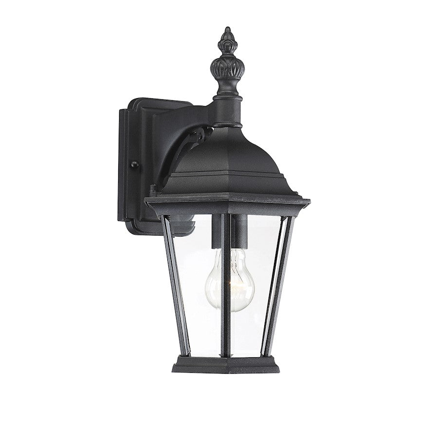 1 Light 16" Outdoor Wall Lantern