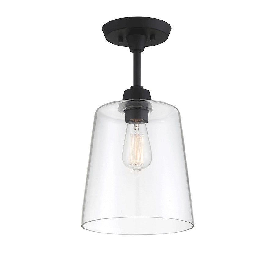 Meridian Transitional 1 Light 17" Semi Flush Mount, Black/Clear