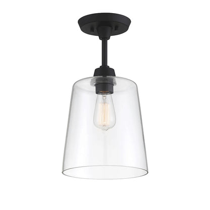 Meridian Transitional 1 Light 17" Semi Flush Mount, Black/Clear
