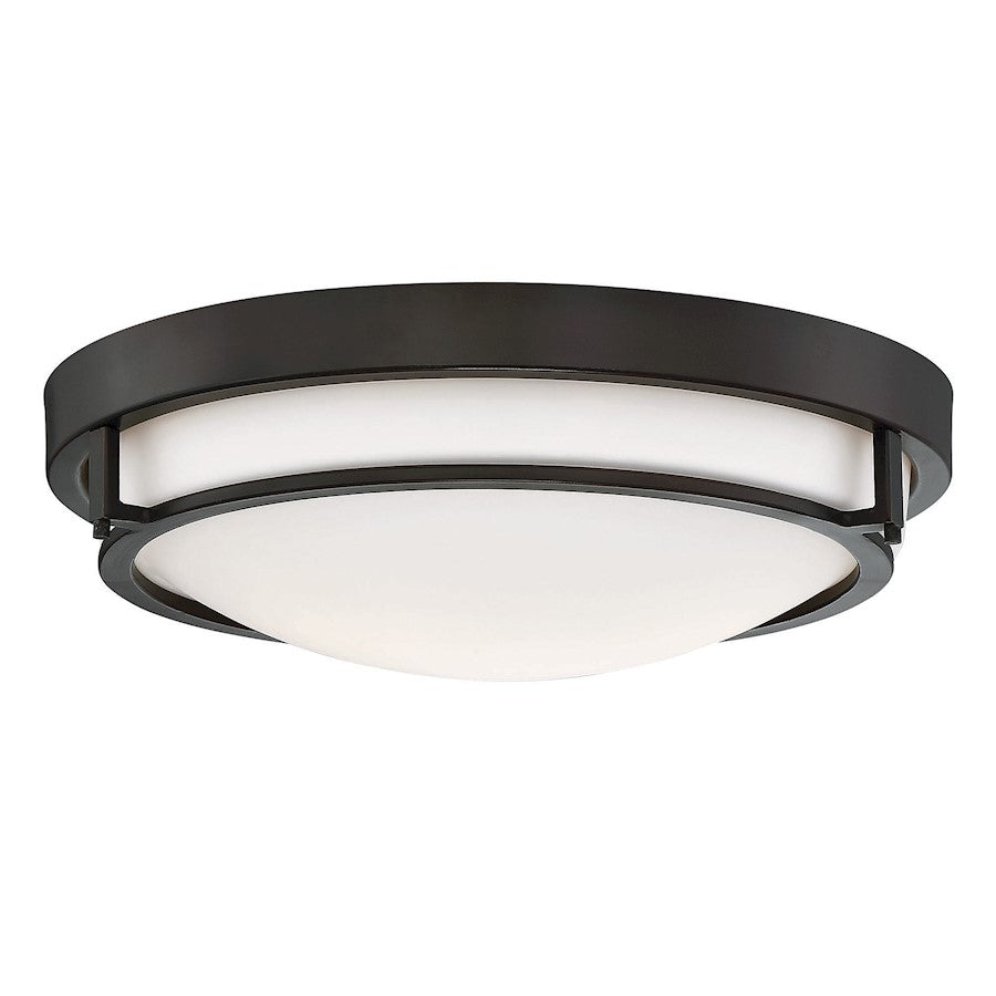 Meridian Industrial 2 Light 4" Flush Mount