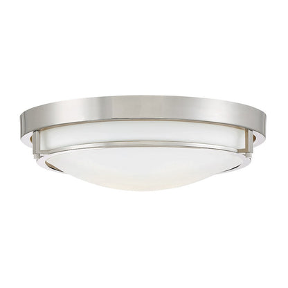 Meridian Industrial 2 Light 4" Flush Mount
