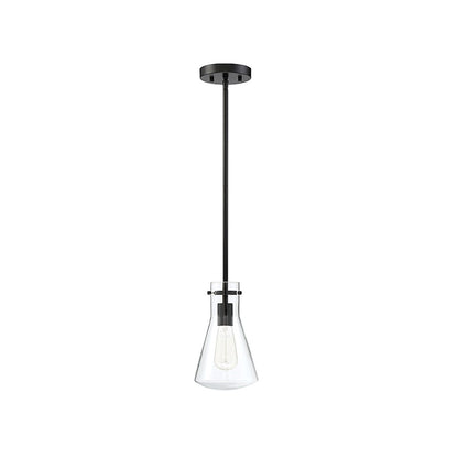 1 Light 10" Pendant, Matte Black