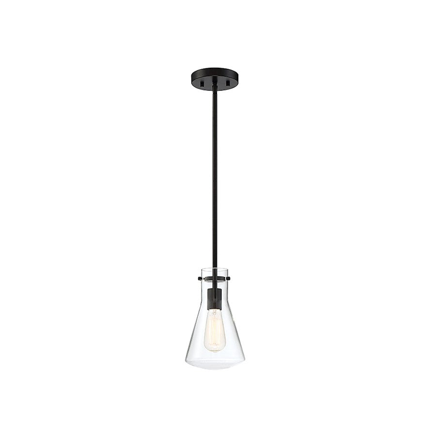 1 Light 10" Pendant, Matte Black