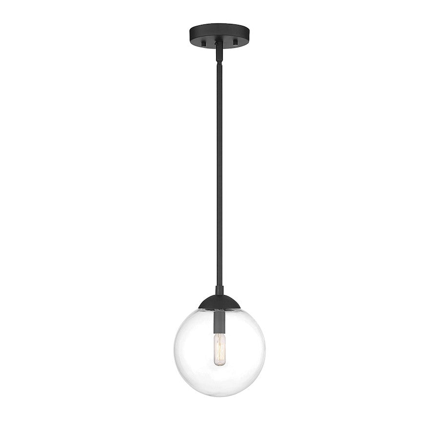1 Light 8" Mini Pendant, Chrome
