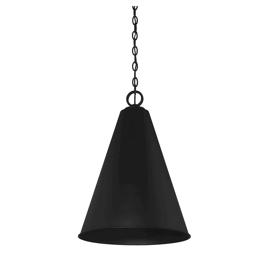 1 Light 28" Pendant, Matte Black