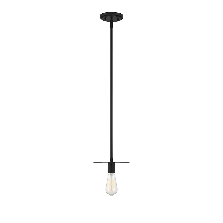 1 Light 8" Mini Pendant, Matte Black