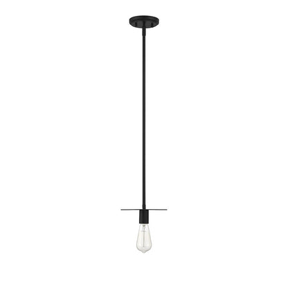 1 Light 8" Mini Pendant, Matte Black