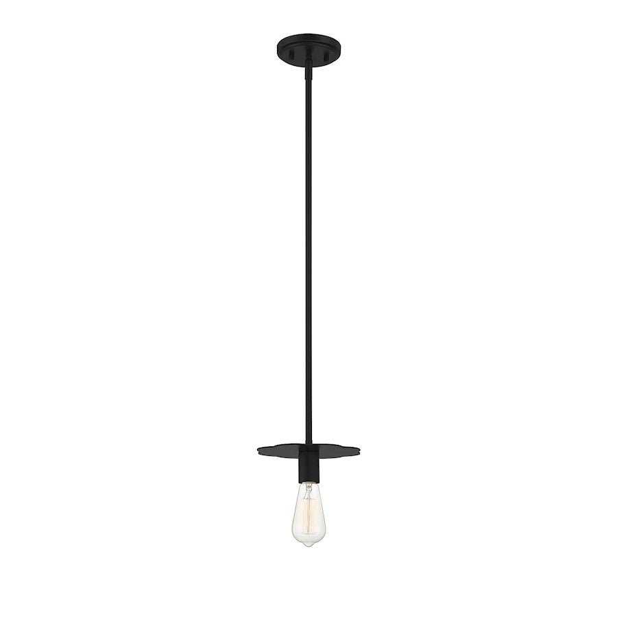 1 Light 8" Mini Pendant, Matte Black