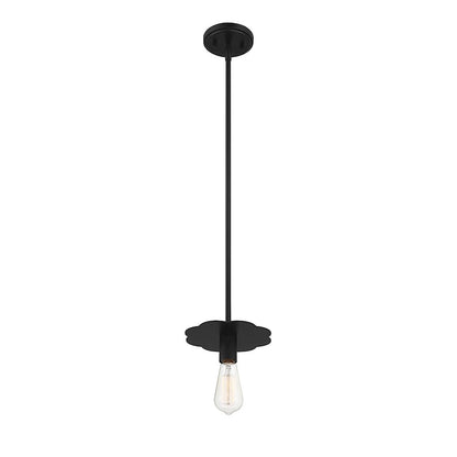 1 Light 8" Mini Pendant, Matte Black