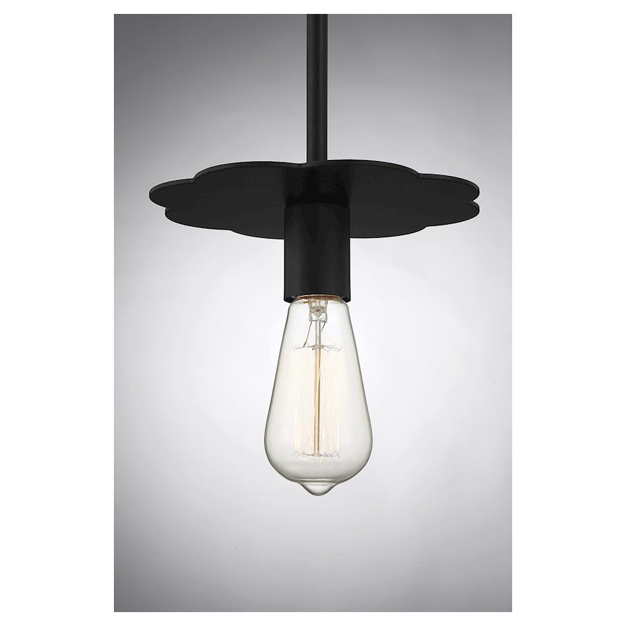 1 Light 8" Mini Pendant, Matte Black