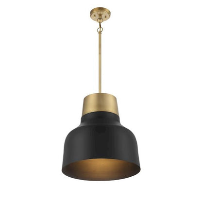 1 Light 18" Pendant, Matte Black