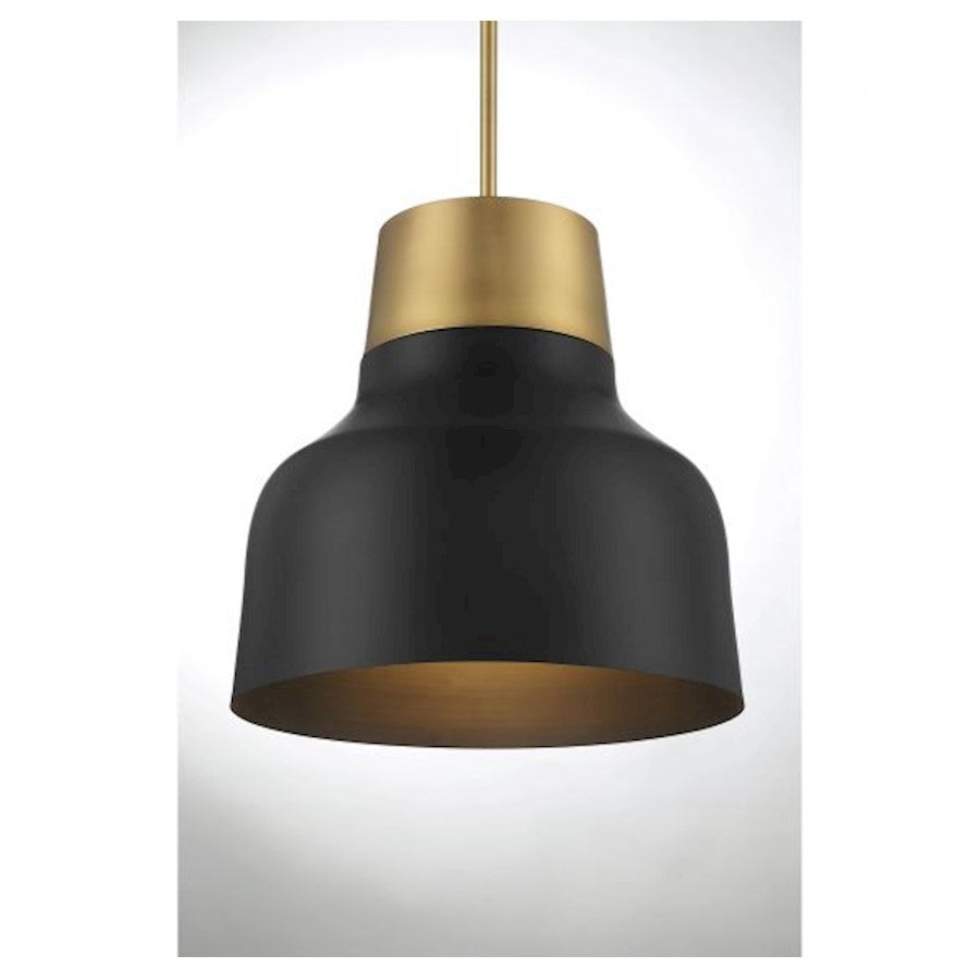 1 Light 18" Pendant, Matte Black