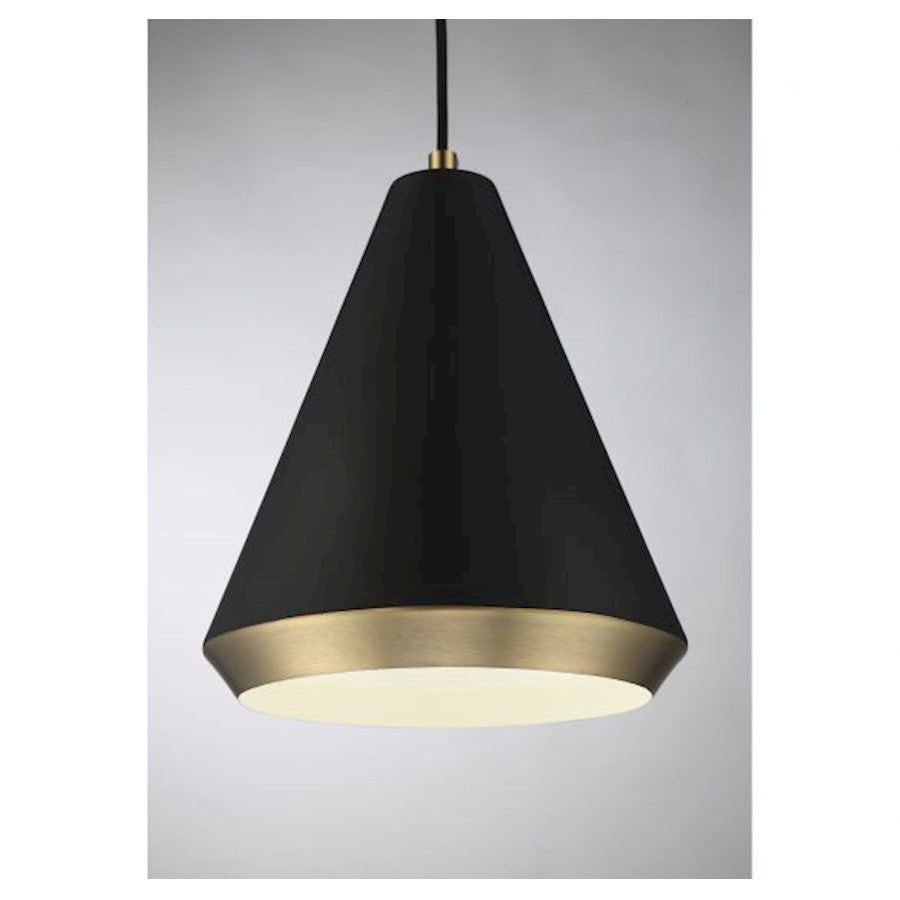 1 Light 12" Pendant, Matte Black