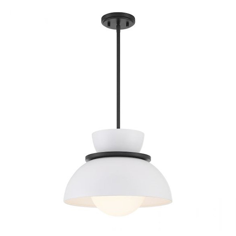 1 Light 9.5" Pendant, Matte Black