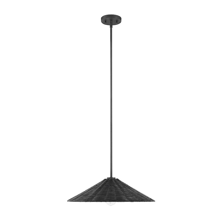 1 Light 20" Pendant, Matte Black