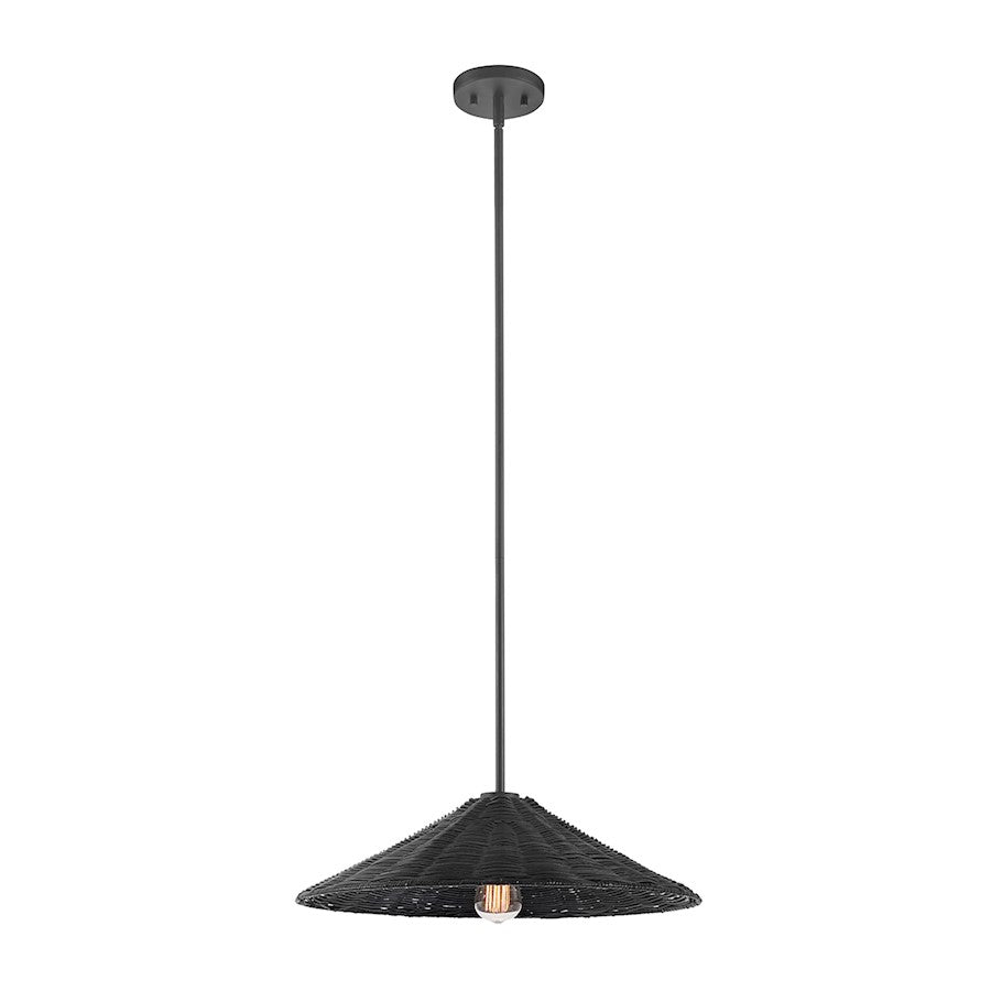 1 Light 20" Pendant, Matte Black