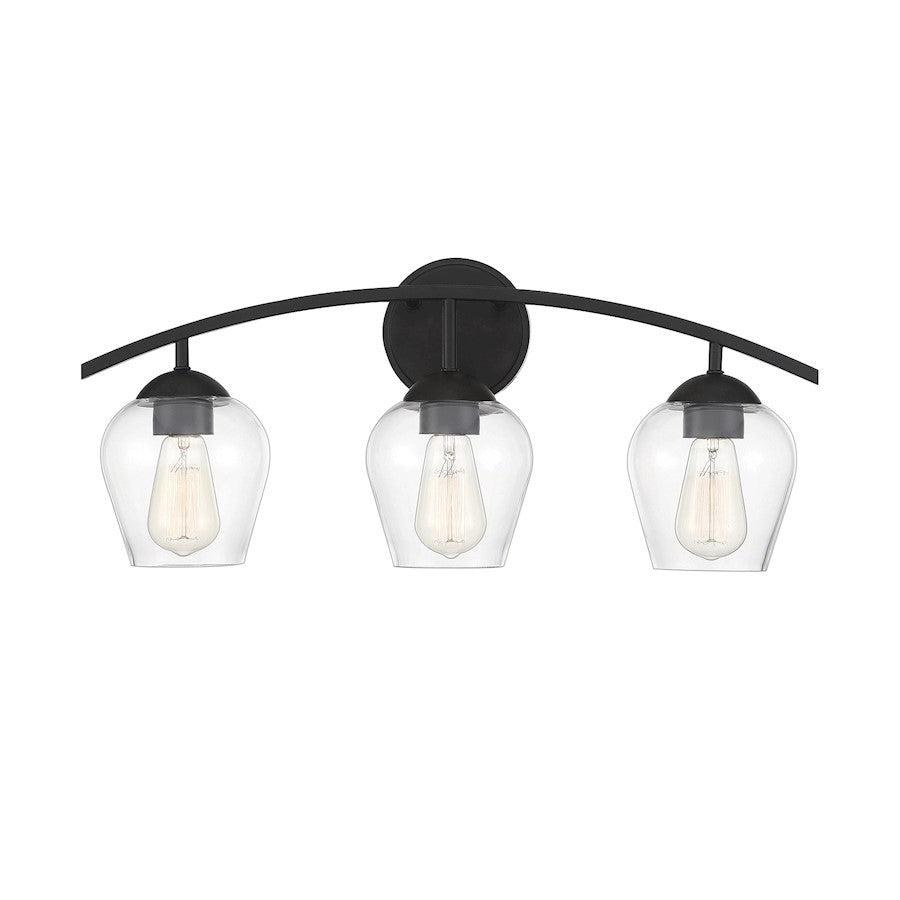 3-Light 24" Bathroom Vanity Light, Matte Black