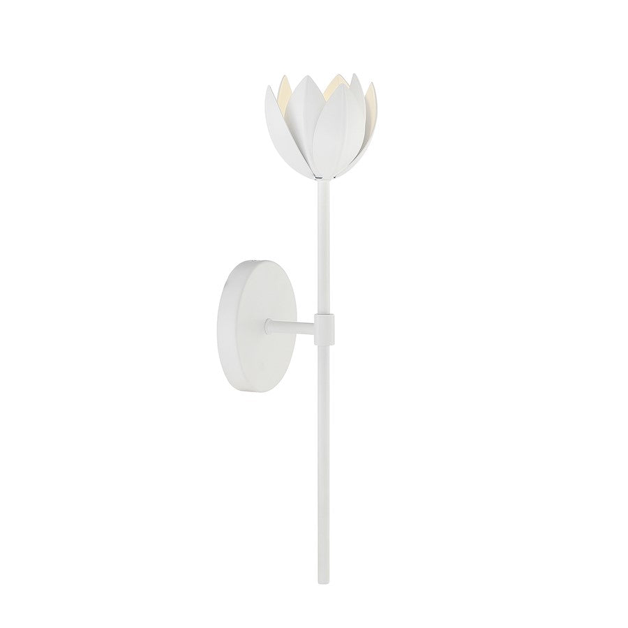 1 Light LED Wall Sconce