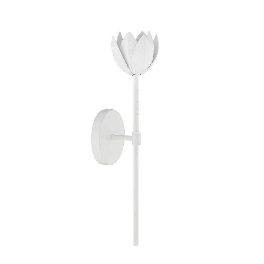 1 Light LED Wall Sconce